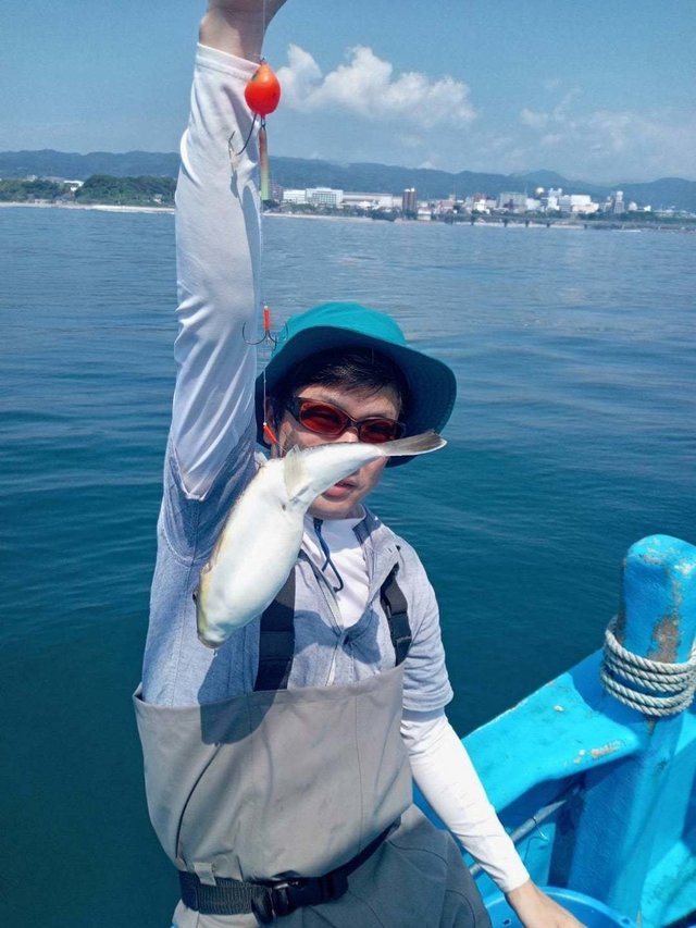 ショウサイフク(ショウサイフグ)