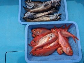 クロムツ・キンメ(キンメダイ)