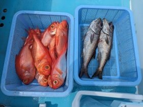 クロムツ・キンメ(キンメダイ)