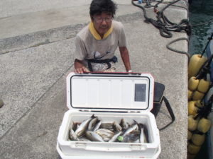 マアジ・イサキ