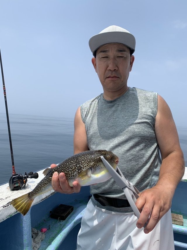 ショウサイフグ