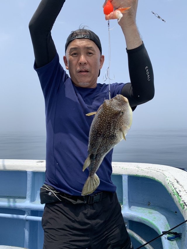 ショウサイフグ