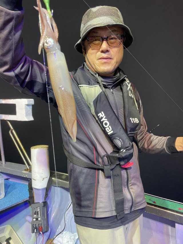 マルイカ(ケンサキイカ)