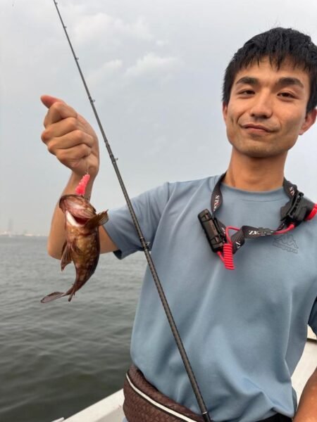 アコウ(キジハタ)