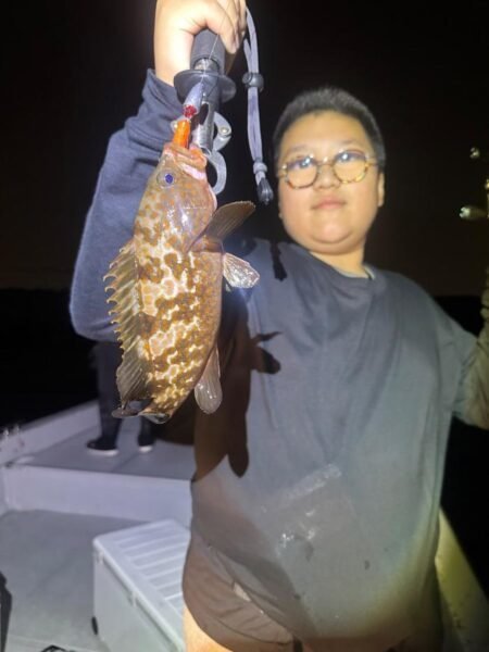 アコウ(キジハタ)