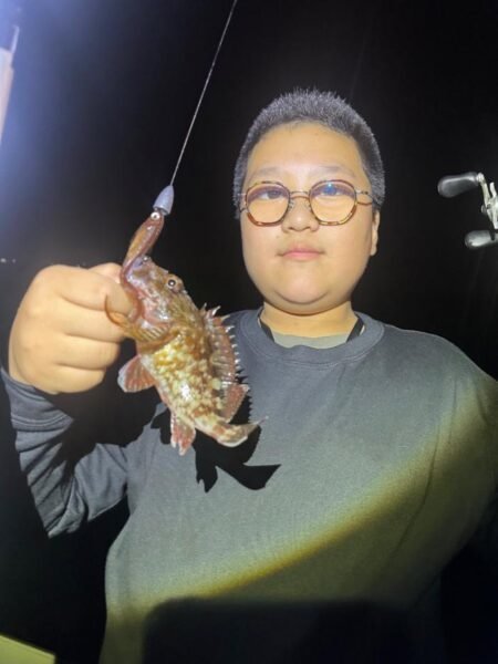 アコウ(キジハタ)