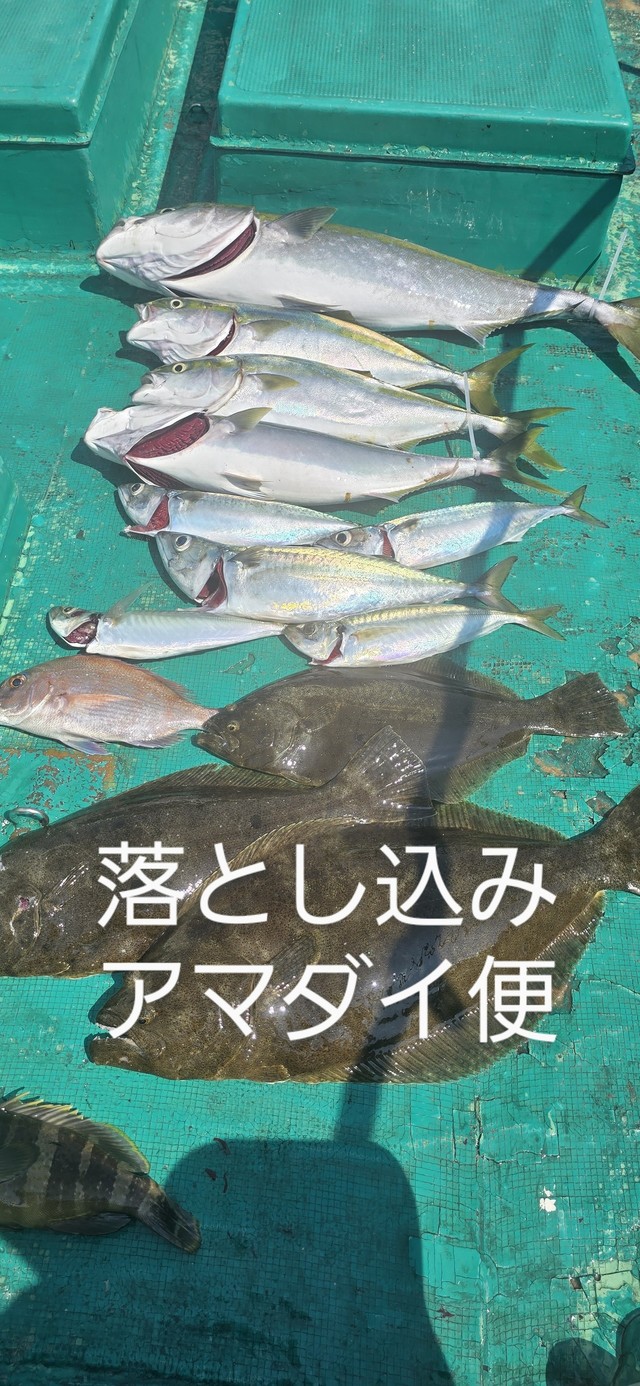 ブリ・サバ(マサバ)・ヒラメ