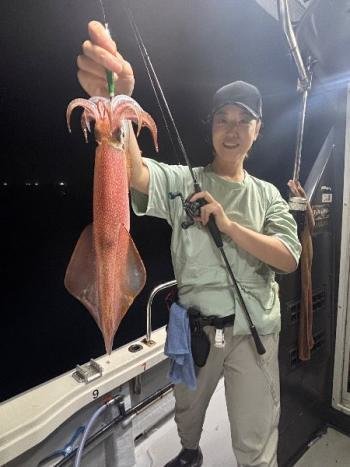 マイカ(ケンサキイカ)