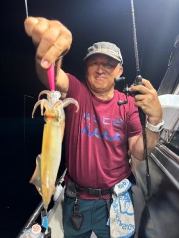 マイカ(ケンサキイカ)