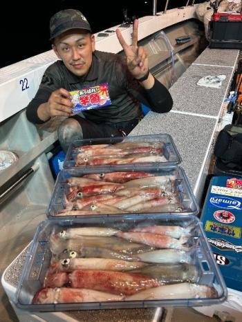 マイカ(ケンサキイカ)