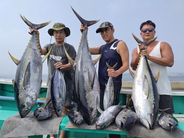 キハダマグロ(キハダ)