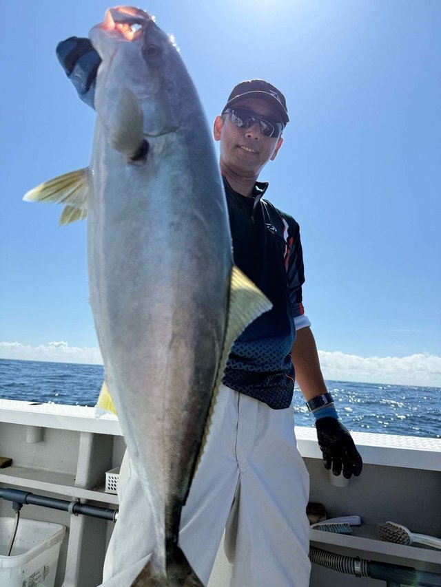 サンパク(ブリ)