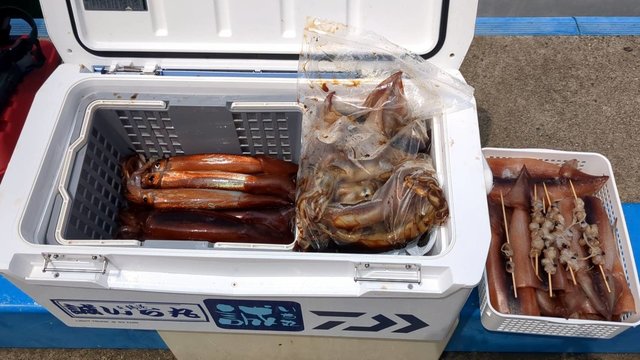 スルメ(スルメイカ)