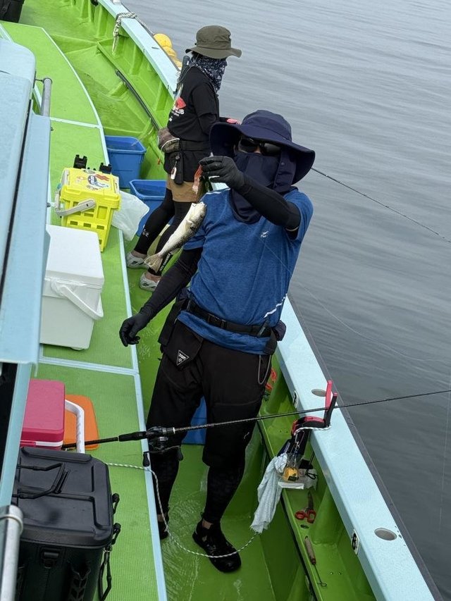 フグ(ショウサイフグ)