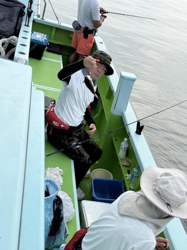 フグ(ショウサイフグ)