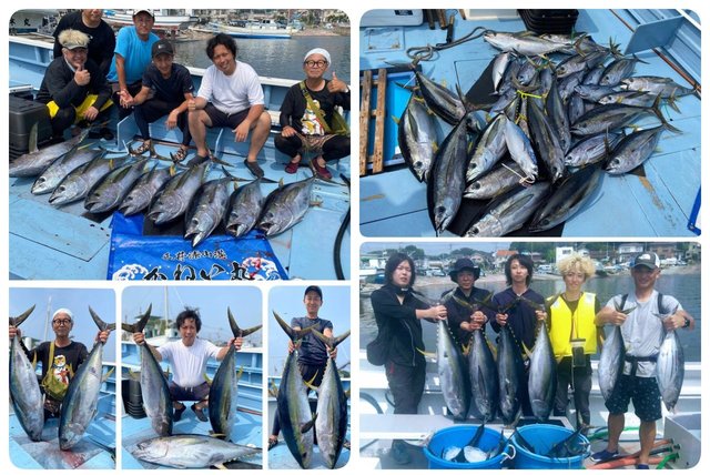 キハダマグロ(キハダ)