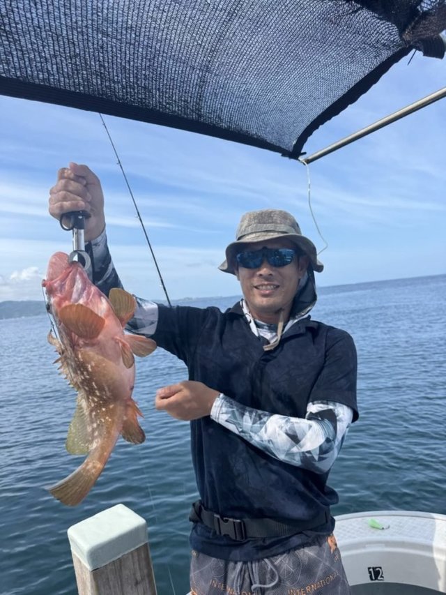 アコウ(キジハタ)