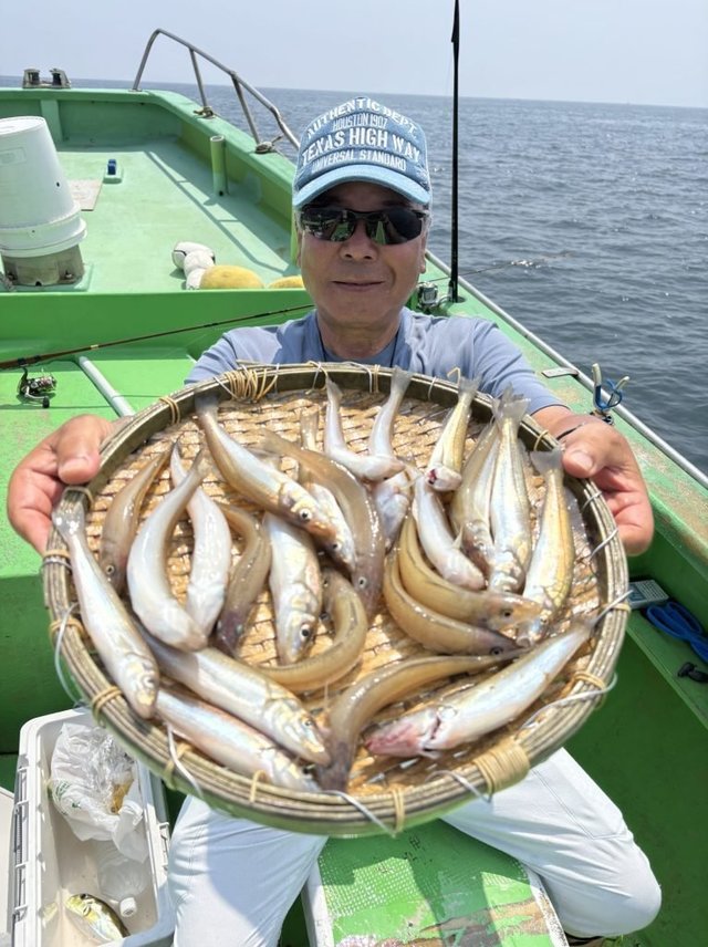 キス(シロギス)