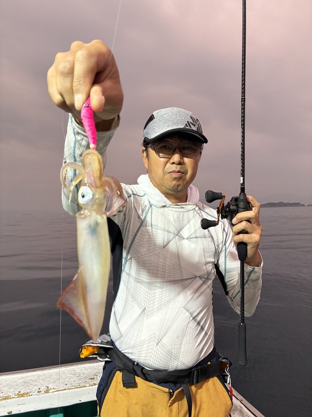 アカイカ(ケンサキイカ)