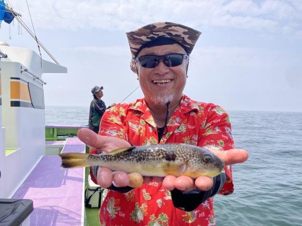 ショウサイフグ