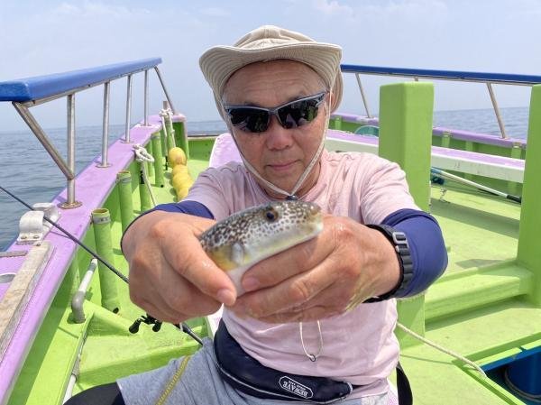 ショウサイフグ