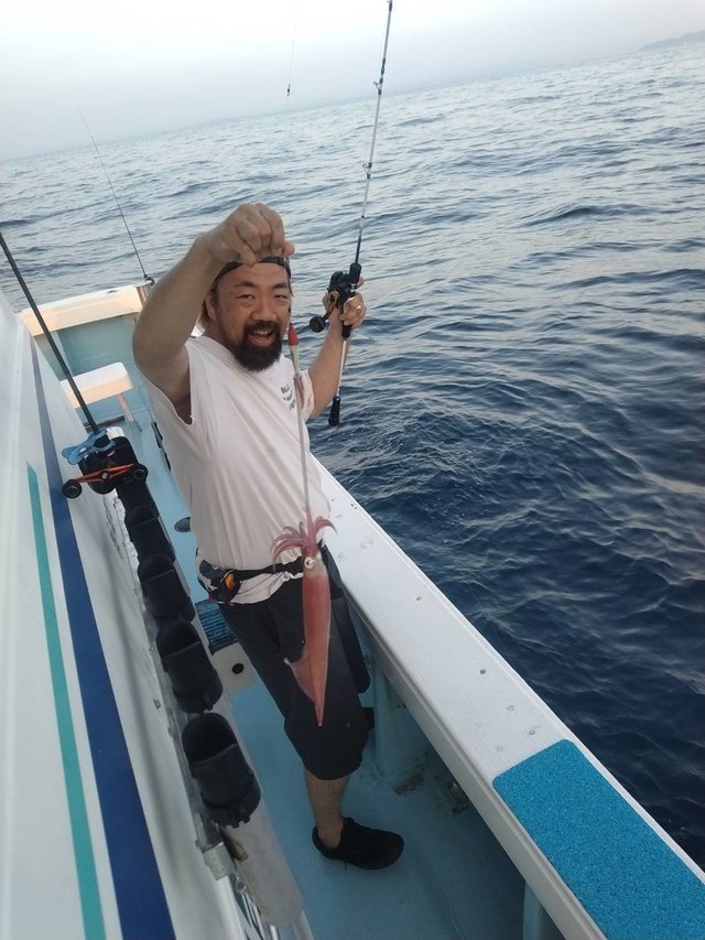 イカ(ヤリイカ)