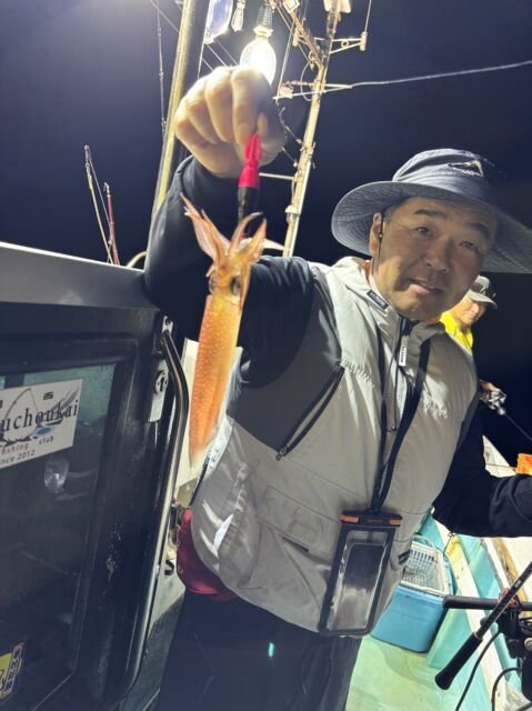 マイカ(ケンサキイカ)