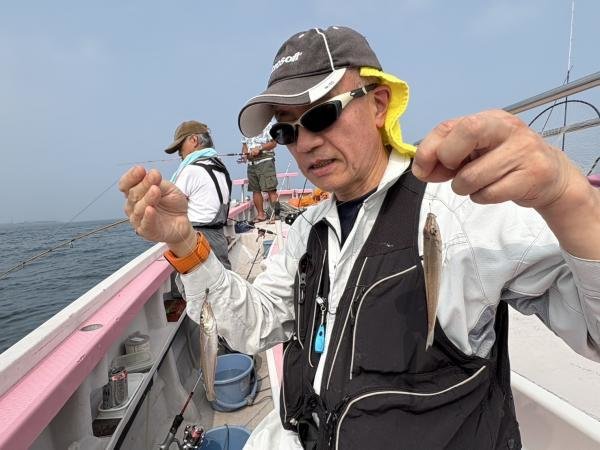 キス(シロギス)