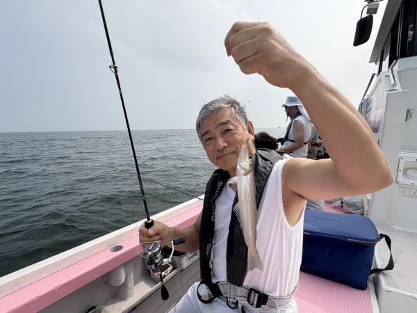 キス(シロギス)