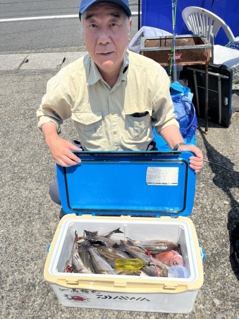 イサキ・マダコ