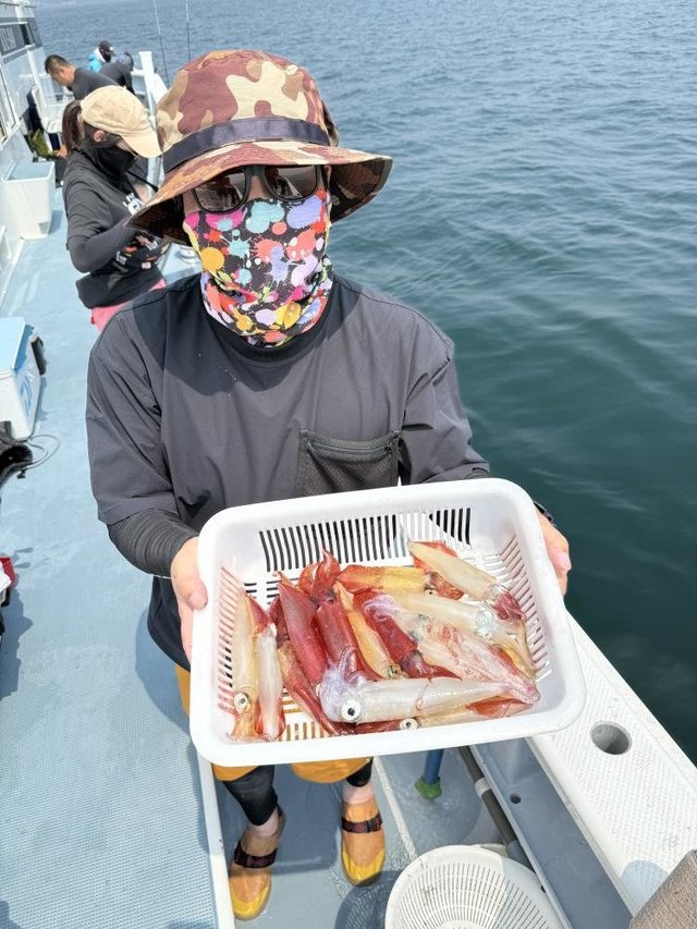 マルイカ(ケンサキイカ)