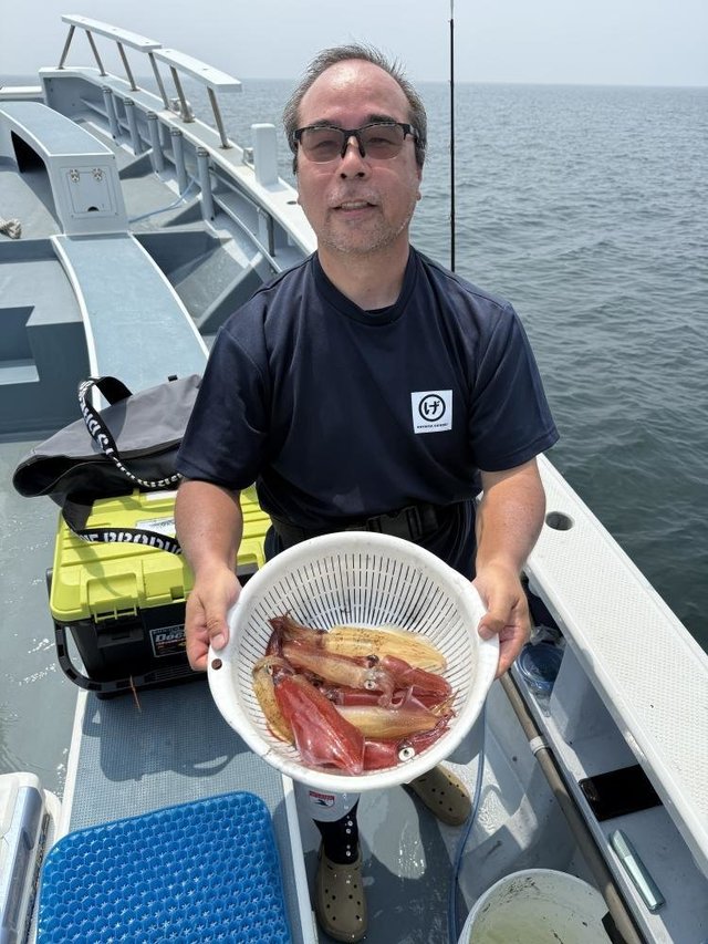 マルイカ(ケンサキイカ)