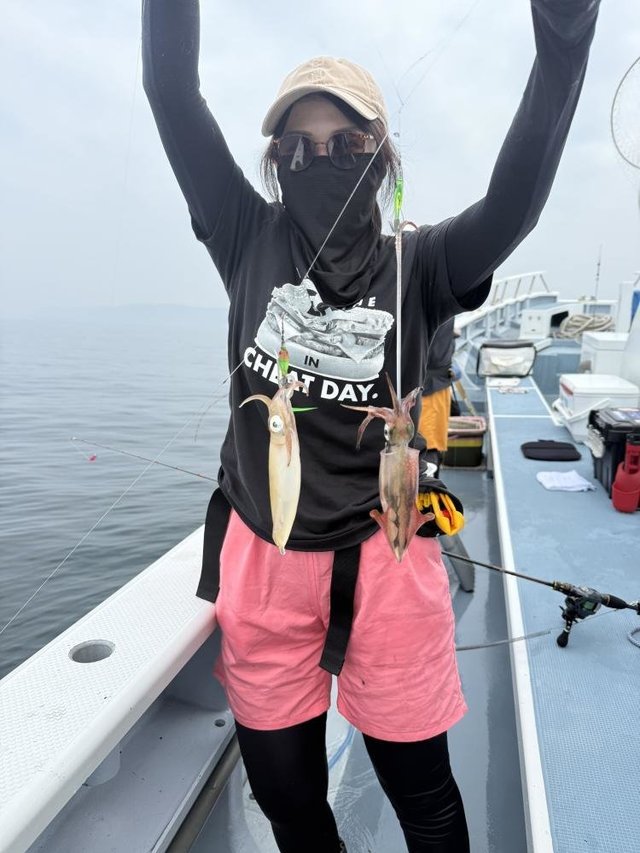 マルイカ(ケンサキイカ)