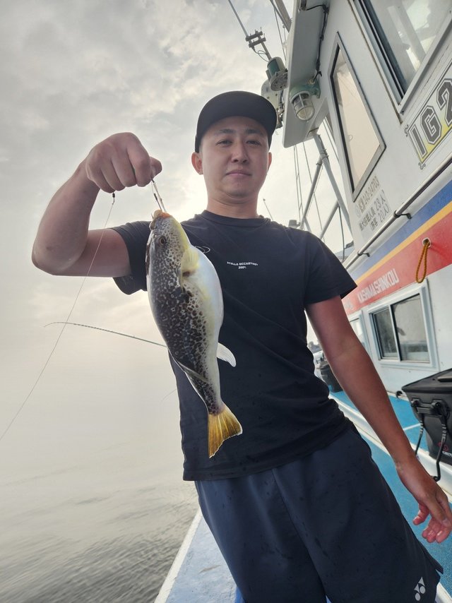 ショウサイフグ