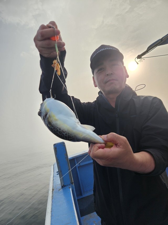 ショウサイフグ