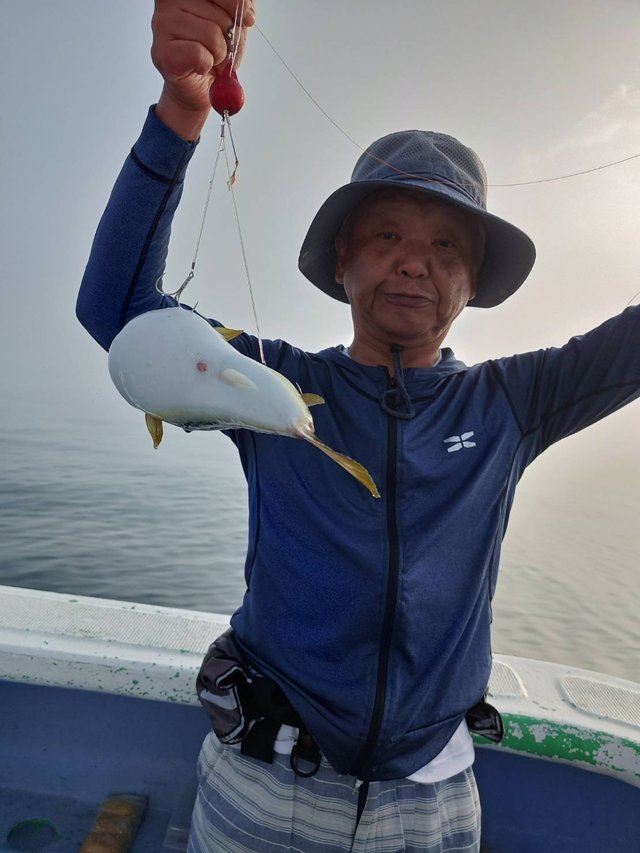 ショウサイフグ