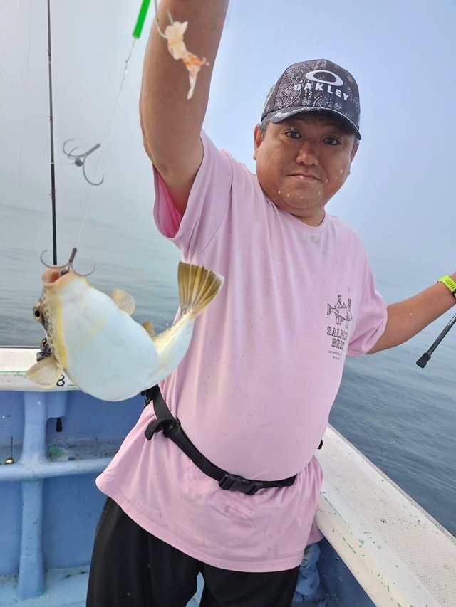 ショウサイフグ