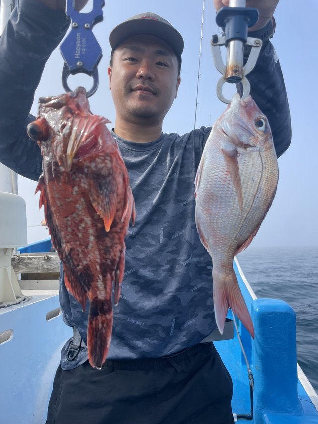 マダイ・カサゴ