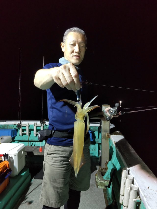 シロイカ(ケンサキイカ)