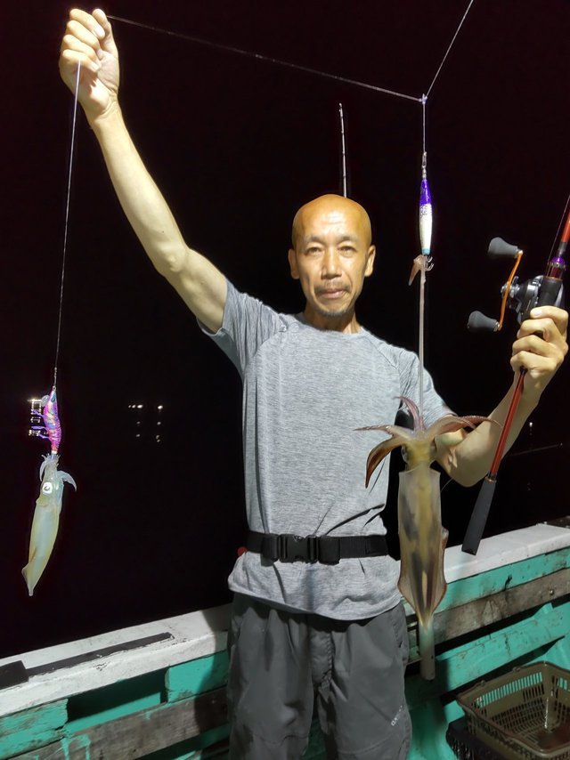 シロイカ(ケンサキイカ)