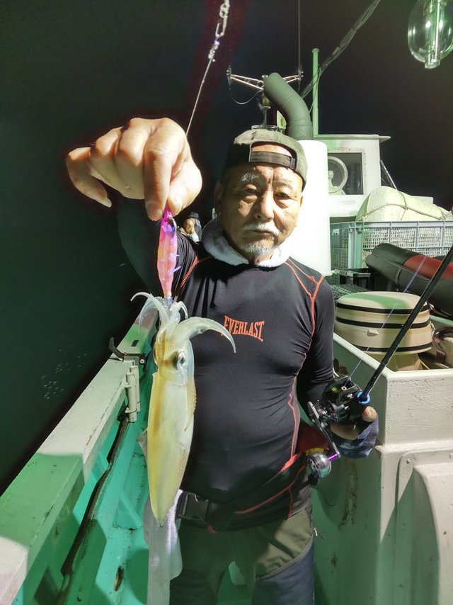 シロイカ(ケンサキイカ)