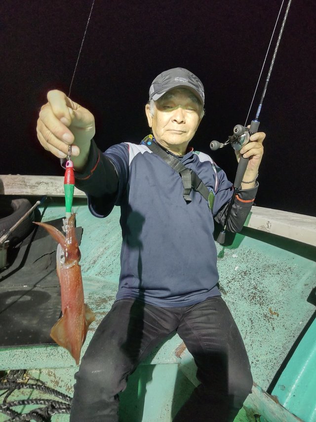 シロイカ(ケンサキイカ)