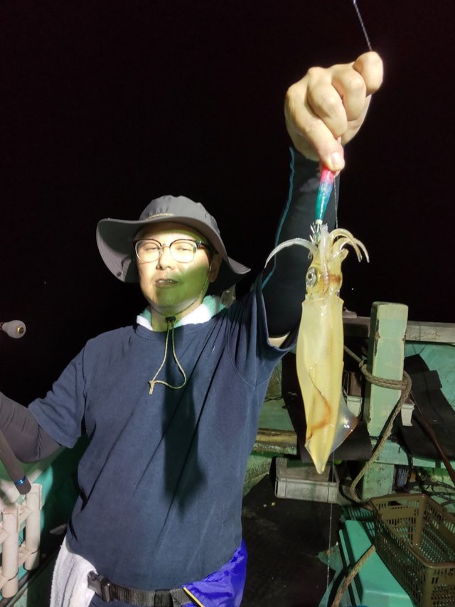 シロイカ(ケンサキイカ)