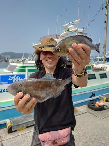 イサキ・ウマヅラ(ウマヅラハギ)