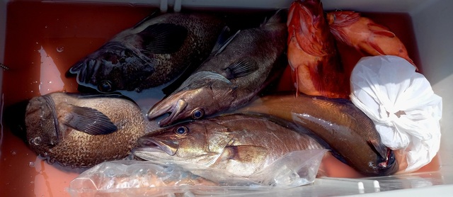 アラ・ソイ(クロソイ)