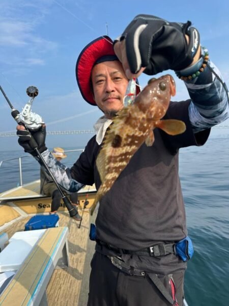 アコウ(キジハタ)