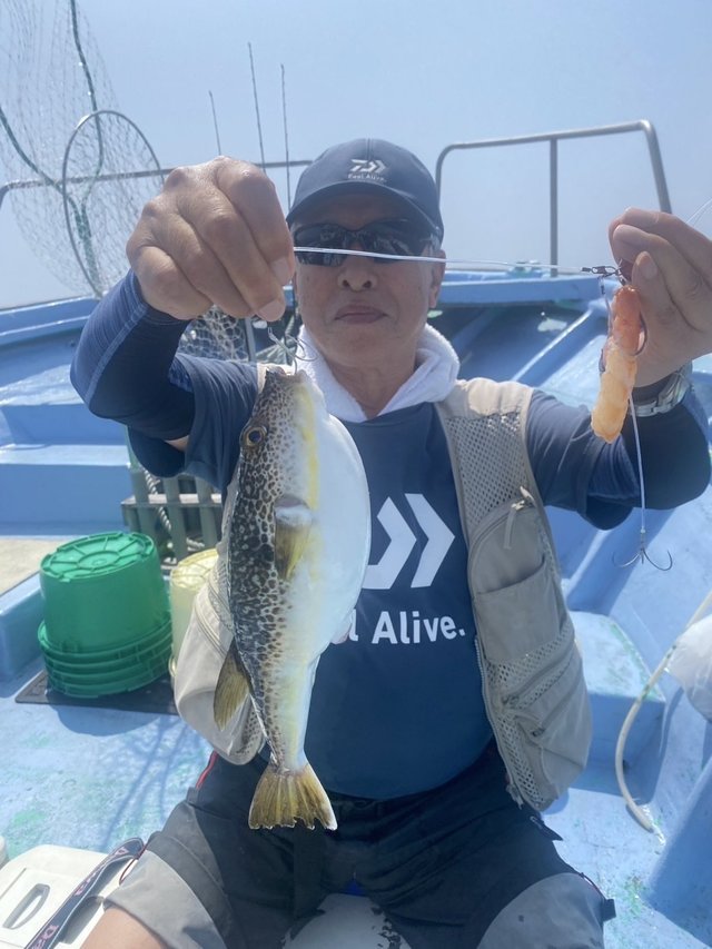 ショウサイフグ