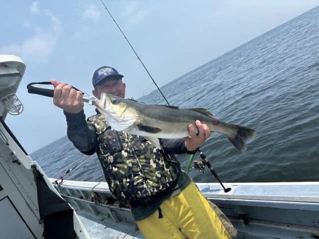 シーバス(スズキ)