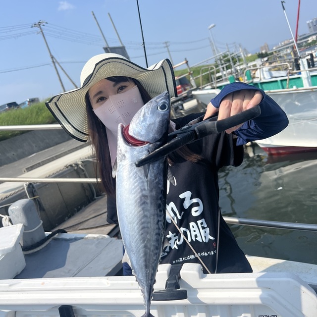 ソウダガツオ(マルソウダ)