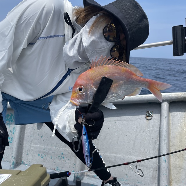 レンコダイ(キダイ)